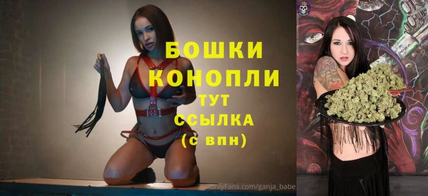 кокс Бородино