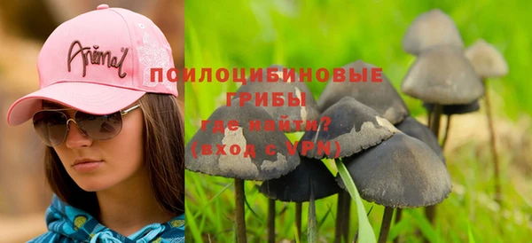 соль курить ск Богданович